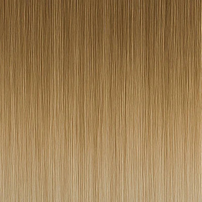 Long Lasting Hair Weft - #11/1001 Balayage