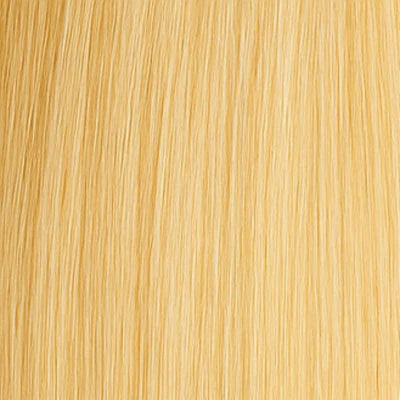 Weft Extensions - #24 Blond
