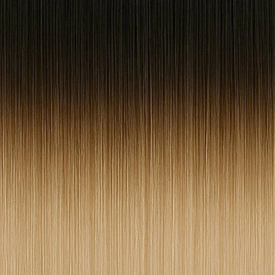 Clip-in Extensions - #1/6001 Balayage