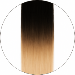 Balayage #1/6001, 50cm, 110g, Clip-in Extensions