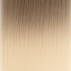 #11/1001 Balayage (Kleurenstaal)