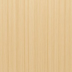 #613 Lichtblond (Kleurenstaal)