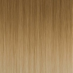 #11/1001 Balayage (Kleurenstaal)