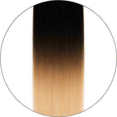 Balayage #1/6001, 50cm, 110g, Clip-in Extensions
