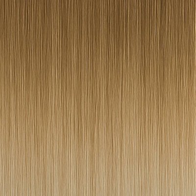 #11/1001 Balayage (Kleurenstaal)