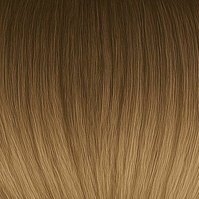 #8/18 Balayage (Kleurenstaal)