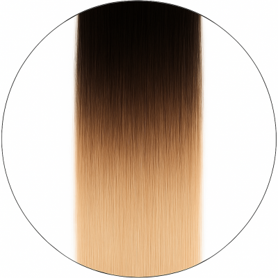 #1/6001 Balayage, 50cm, 50g, Bondings, Single drawn